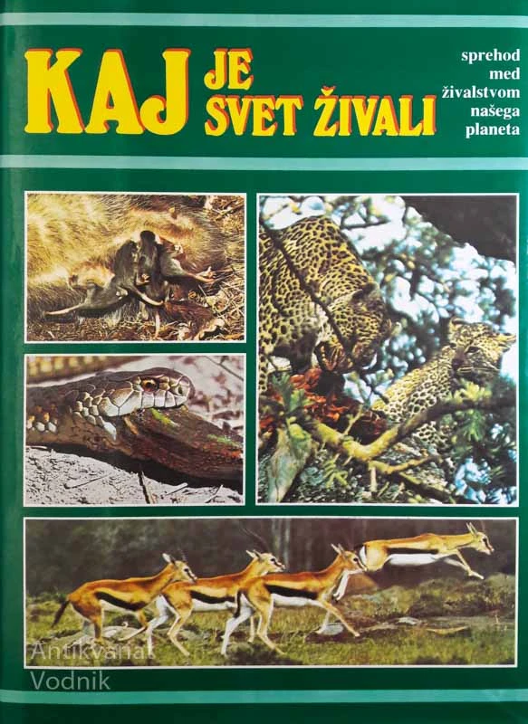 KAJ JE SVET ŽIVALI, A. in J. Nayman