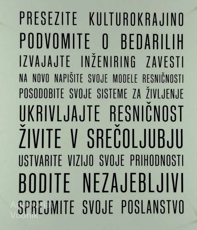 KODA IZJEMNEGA UMA, Vishen Lakhiani