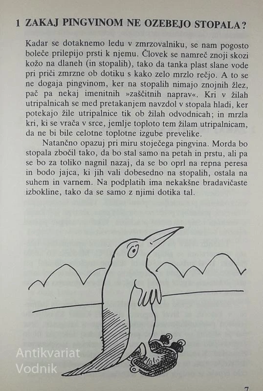 ZAKAJČEK, Janice Robertson in Geoffrey Hoyle