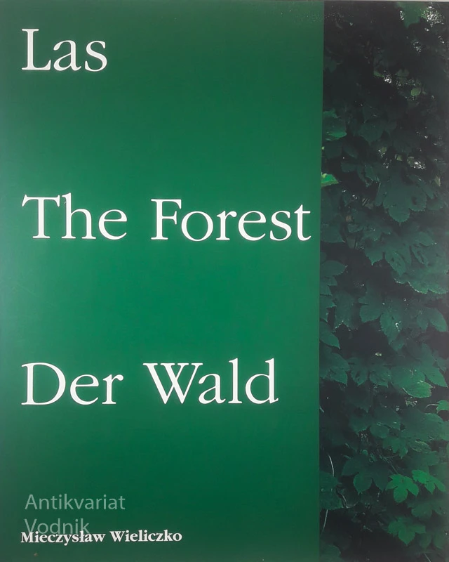 LAS THE FOREST DER WALD, Mieczysław Wieliczko