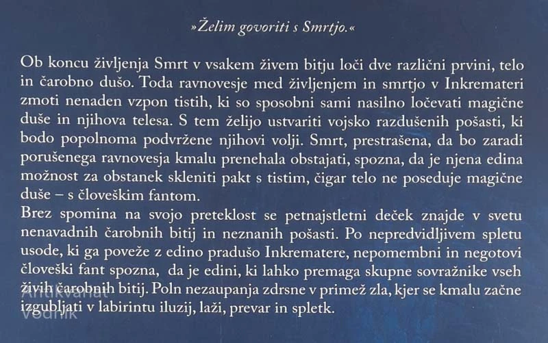 IMAGINARNI SVETOVI EDGARJA KAOSA, Julija Lukovnjak