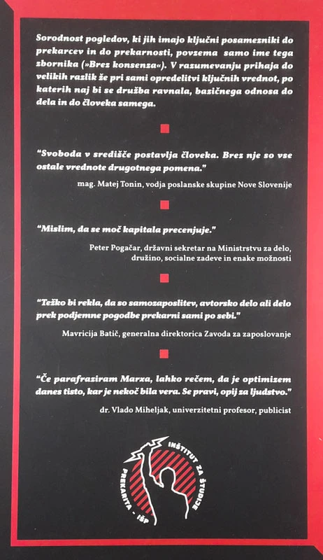 SKOZI OČI PREKARIATA, Črt Poglajen