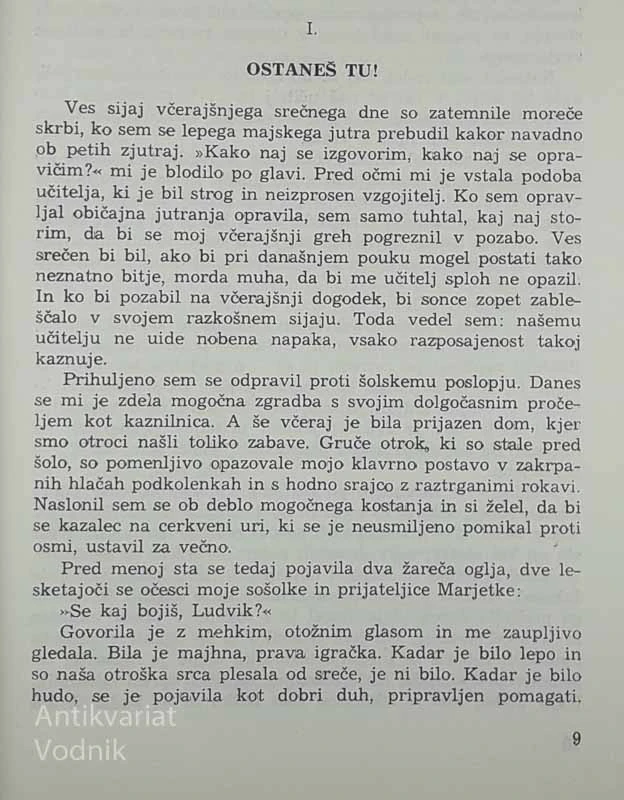 LETEČI KRANJEC, Ludvik Starič