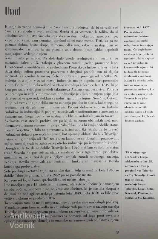 NAŠE TRBOVLJE, Irena Ivančič Lebar