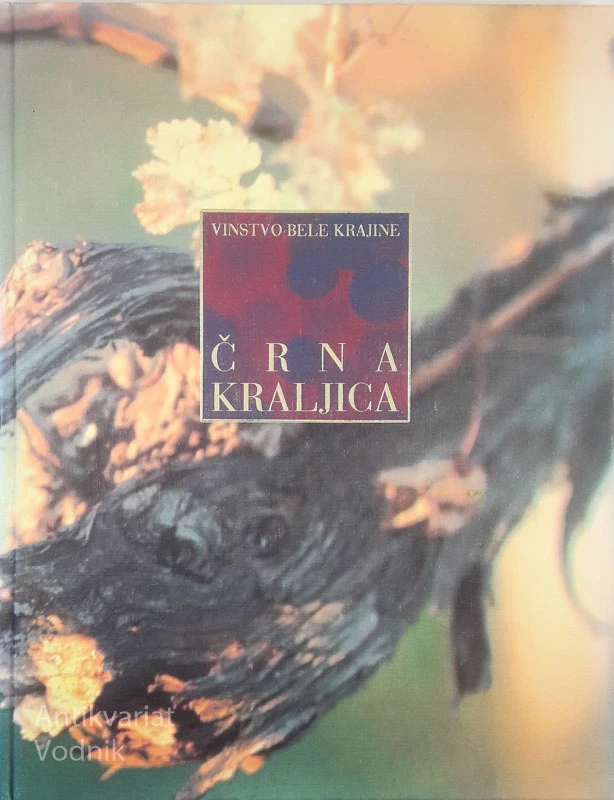 VINSTVO BELE KRAJINE; ČRNA KRALJICA