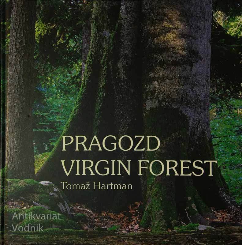 PRAGOZD / VIRGIN FOREST, Tomaž Hartman