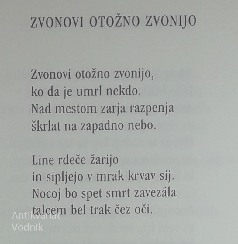 BOLEČINA NEDOŽIVETEGA, Ivan Minatti
