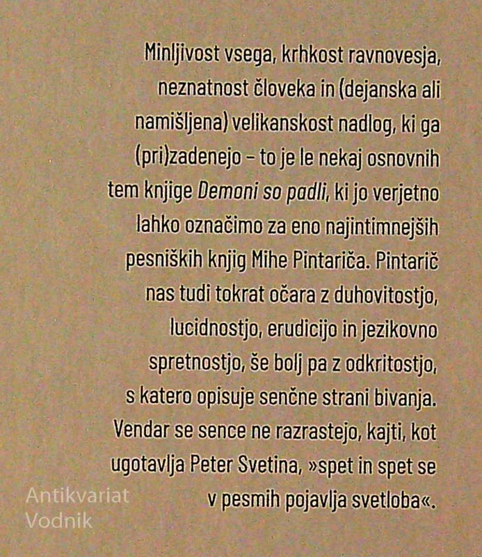 DEMONI SO PADLI, Miha Pinterič