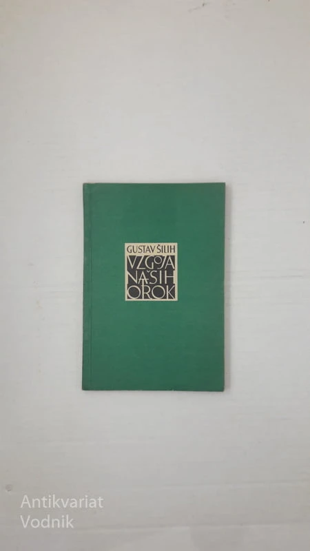 VZGOJA NAŠIH OTROK, Gustav Šilih