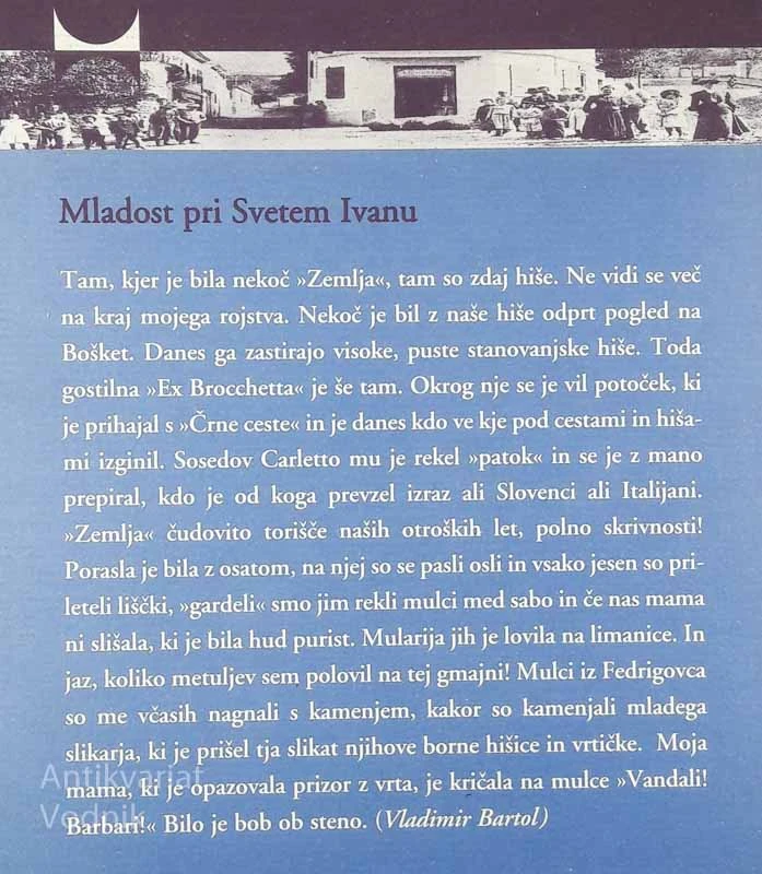 MLADOST PRI SVETEM IVANU, Vladimir Bartol