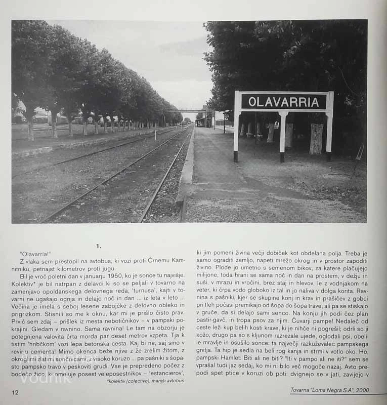 ČRNI KAMNITNIK; LOMA NEGRA, Tine Debeljak