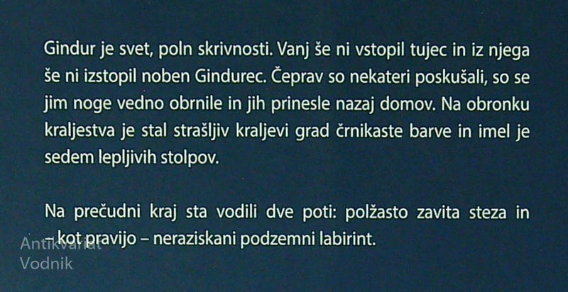 GINDUR, Jerca Pavlič