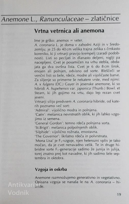 REZANO CVETJE, France Vardjan