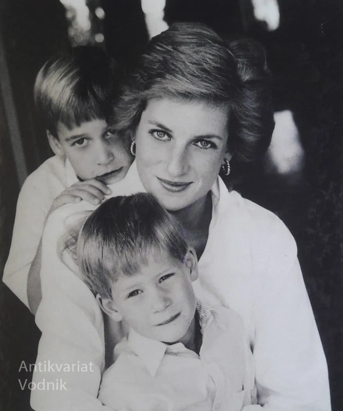 DIANA, PRINCESA LJUDSKIH MNOŽIC, Peter Donnelly