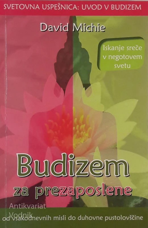 BUDIZEM ZA PREZAPOSLENE, Davi Michie