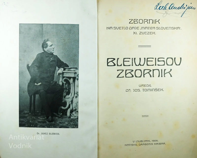 BLEIWEISOV ZBORNIK, več avtorjev