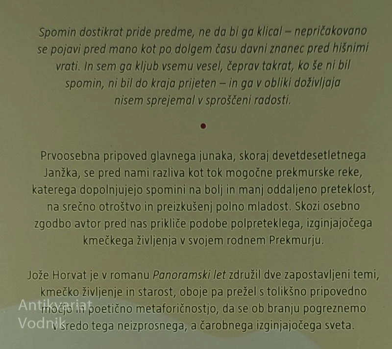 PANORAMSKI LET, Jože Horvat
