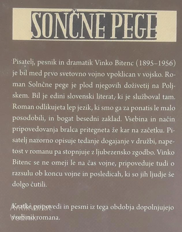SONČNE PEGE, Vinko Bitenc