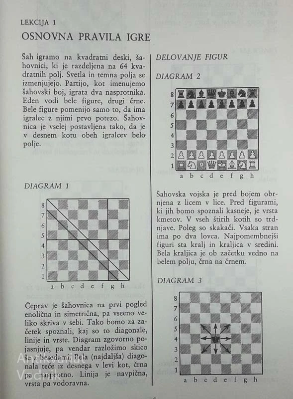 ŠAH ZA VSAKOGAR, Bruno Parma in Boris Kutin