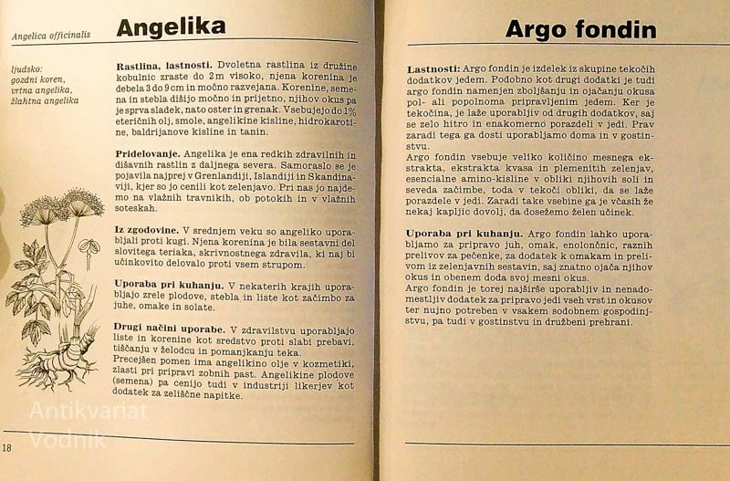 V SVETU ZAČIMB IN DIŠAV