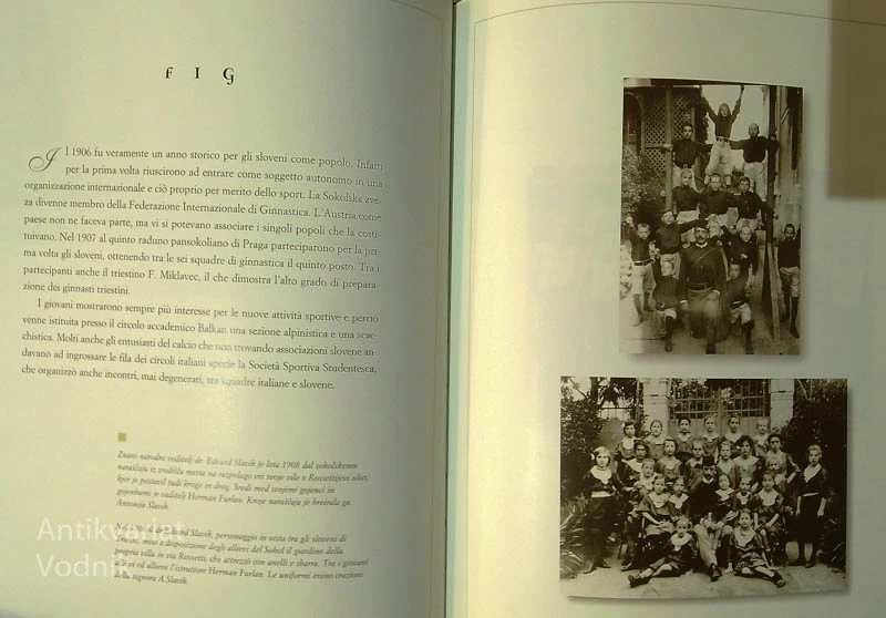 TRŽAŠKI SOKOL IN NJEGOV DOLGI LET; 1869-1999, Bojan Pavletič