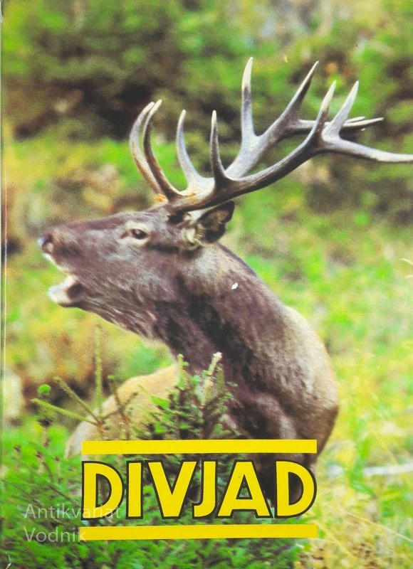DIVJAD