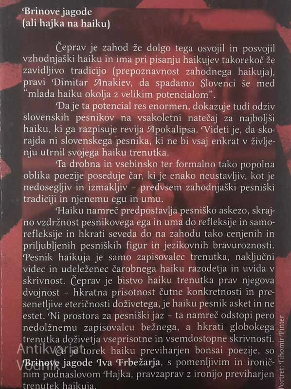 BRINOVE JAGODE, Ivo Grbežar