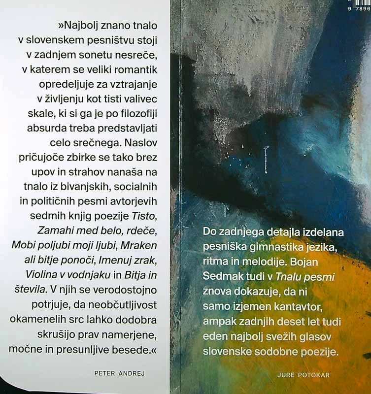 TNALO PESMI, Bojan Sedmak