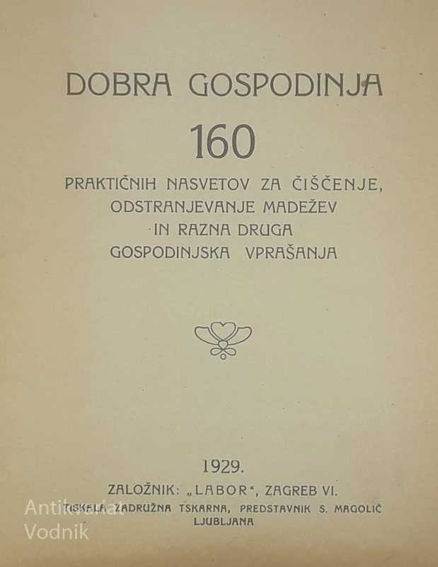 DOBRA GOSPODINJA; 160 PRAKTIČNIH NASVETOV ZA ČIŠČENJE, ODSTRANJEVANJE MADEŽEV, IN RAZNA DRUGA GOSPODINJSKA VPRAŠANJA