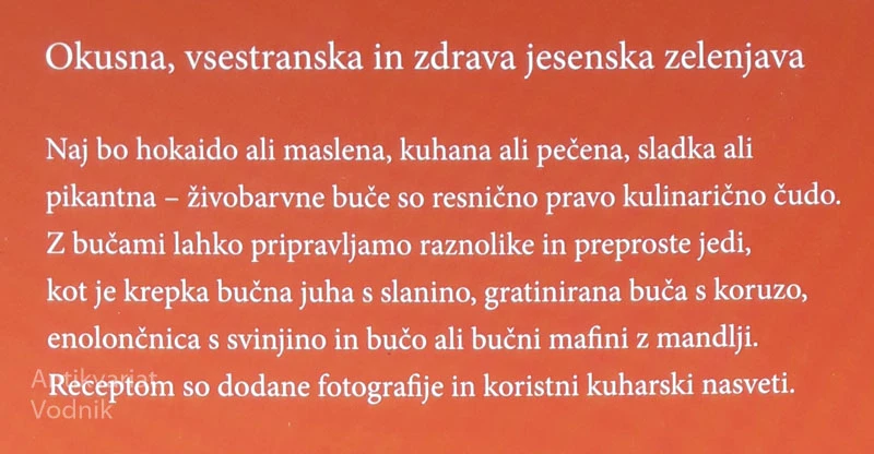 BUČE, Maja Prevolnik