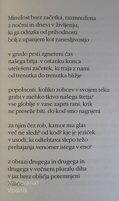 ODTISI, Niko Grafenauer