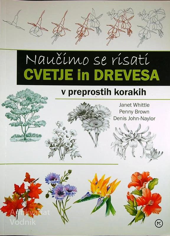 NAUČIMO SE RISATI CVETJE IN DREVESA V PREPROSTIH KORAKIH