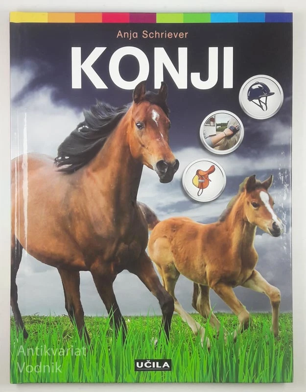 KONJI, Anja Schriever