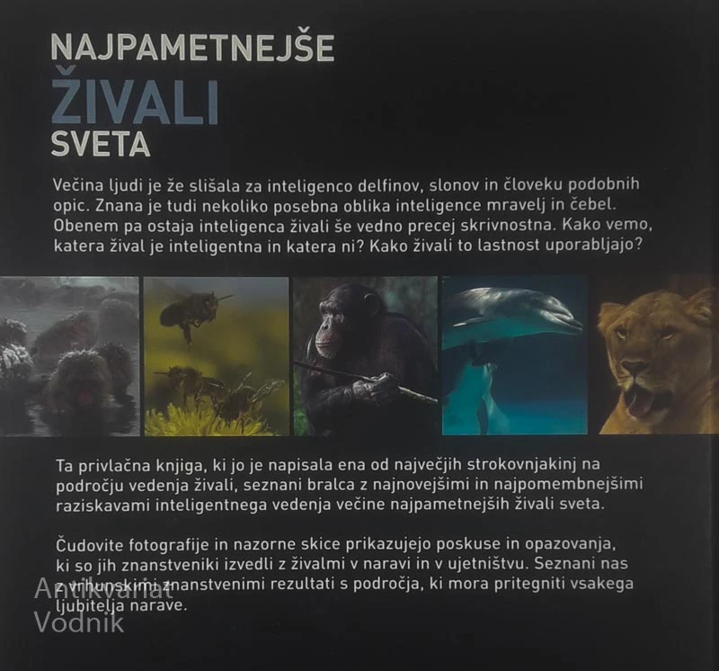 NAJPAMETNEJŠE ŽIVALI SVETA, Sally Boysen