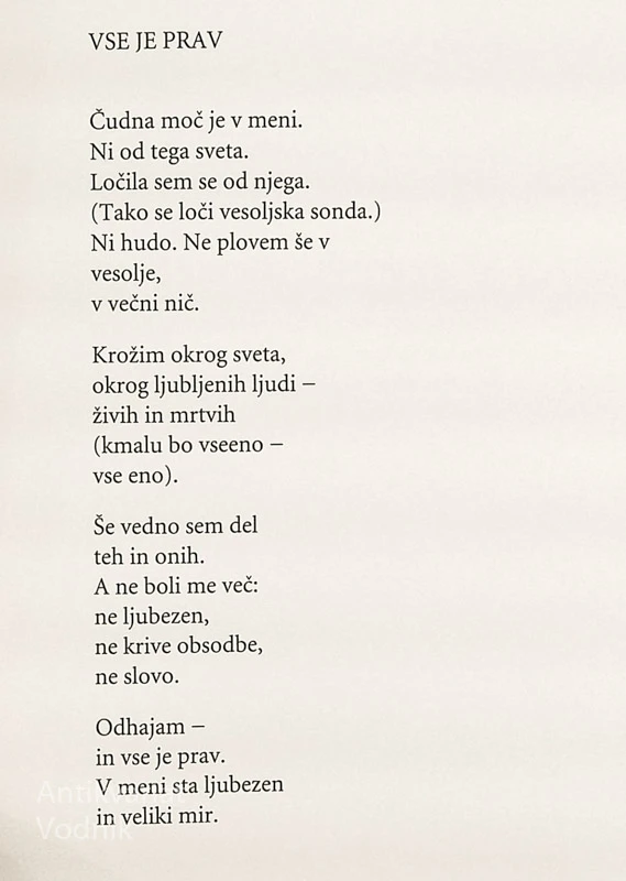 VSI MOJI DNEVI SO SOBOTE, Neža Maurer