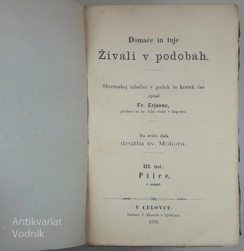 DOMAČE IN TUJE ŽIVALI V PODOBAH, Fr. Erjavec