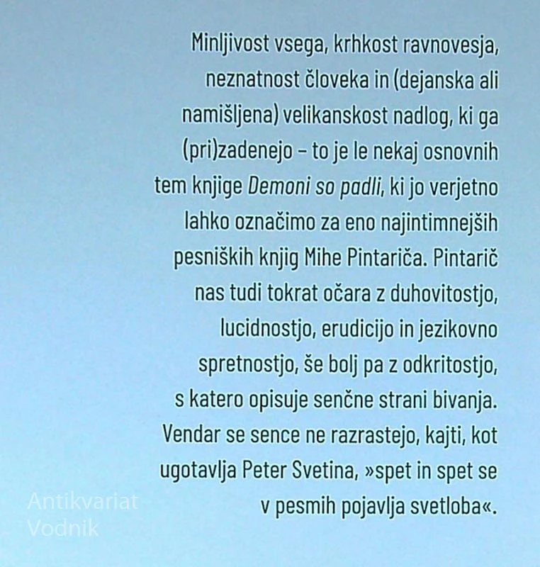 DEMONI SO PADLI, Miha Pintarič