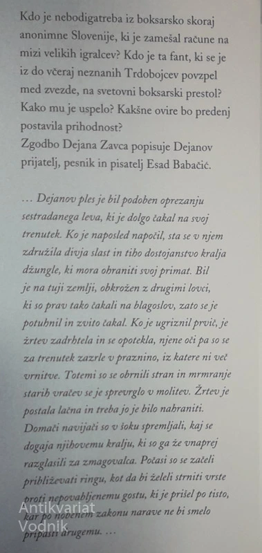 TRDOBOJEC, Esad Babačić
