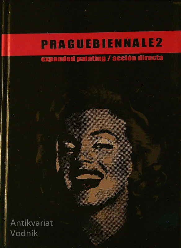 PRAGUEBIENNALE 2; EXPANDED PAINTING / ACCIÓN DIRECTA