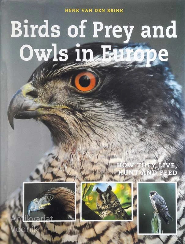 BIRDS OF PREY AND OWLS IN EUROPE, Henk Van den Brink