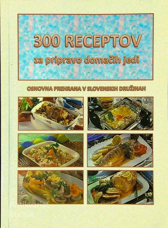 300 RECEPTOV ZA PRIPRAVO DOMAČIH JEDI