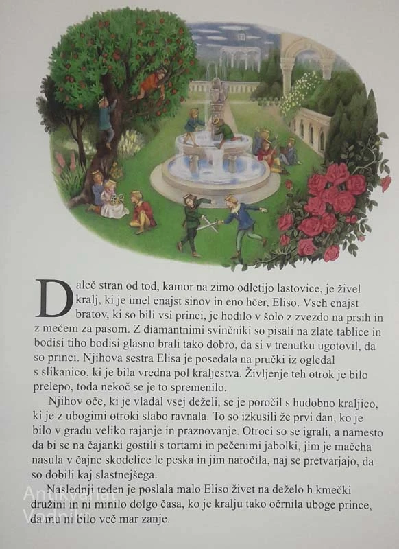DIVJI LABODI, Hans Christian Andersen, ilustrirala Atsuko Morozumi