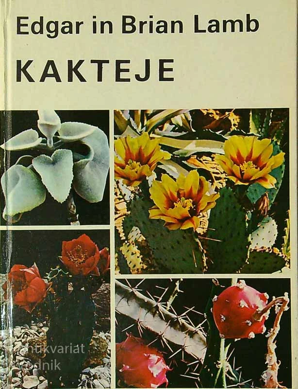 KAKTEJE, Edgar in Brian Lamb