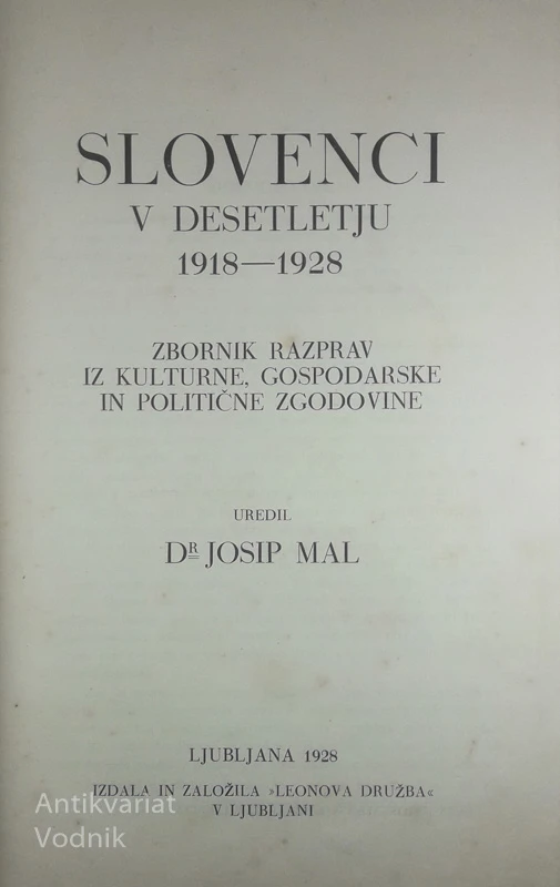 SLOVENCI V DESETLETJU 1918-1928; ZBORNIK RAZPRAV IZ KULTURNE, GOSPODARSKE IN POLITIČNE ZGODOVINE