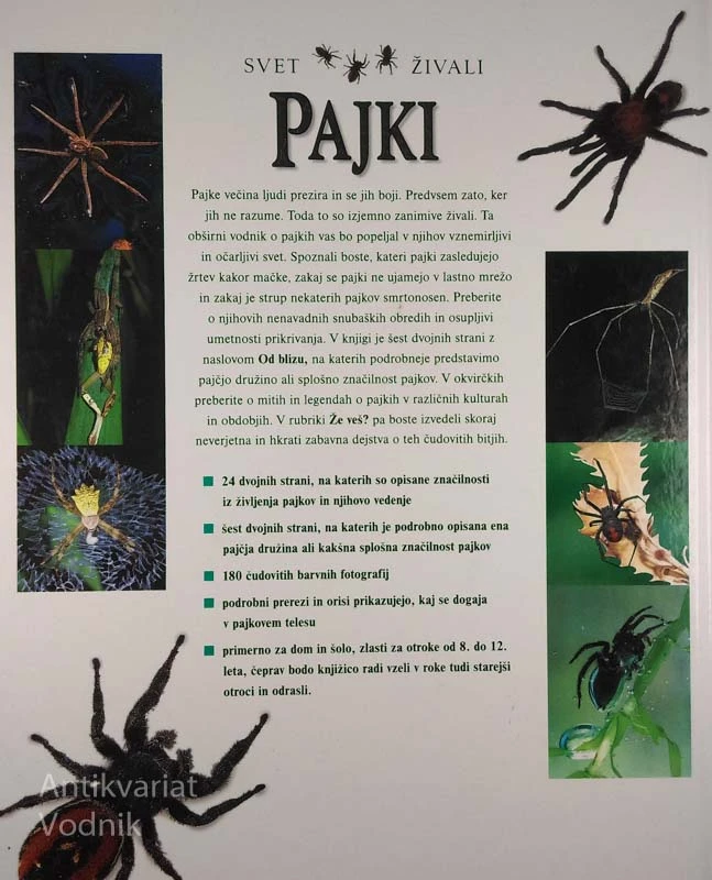SVET ŽIVALI: PAJKI