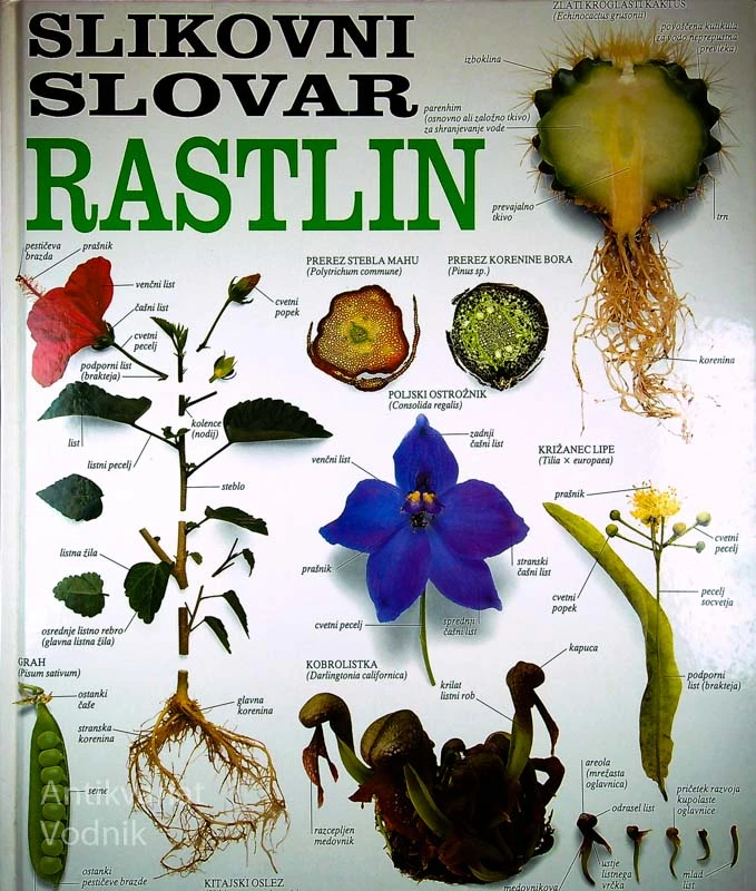 SLIKOVNI SLOVAR RASTLIN, Milan Lovka