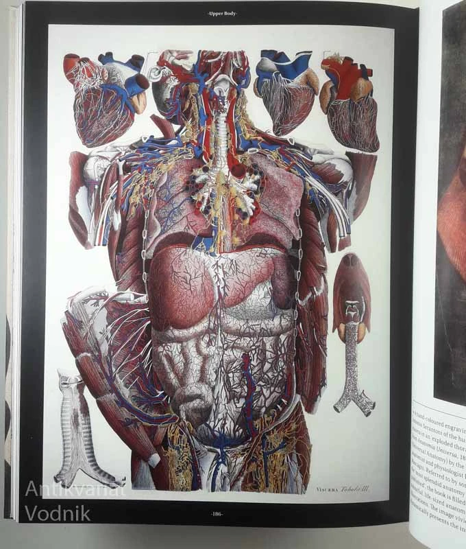ANATOMICA, Joanna Ebenstein