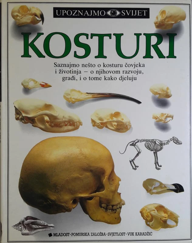KOSTURI, Steve Parker