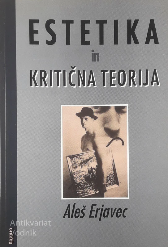 ESTETIKA IN KRITIČNA TEORIJA, Aleš Erjavec