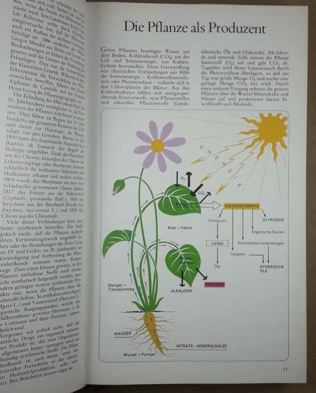 GEHEIMNISSE UND HILKRAFTE DER PFLANZEN